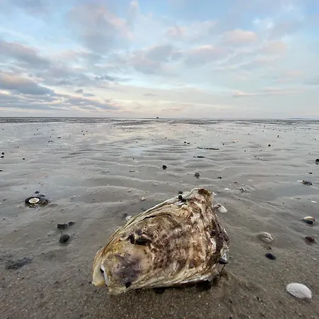 Διαμέρισμα Im Haus Nordland Nordland, App 105