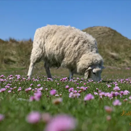 Διαμέρισμα Im Haus Nordland Nordland, App 105 *